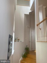 13030 Greg Roy Ln in Herndon, VA - Building Photo