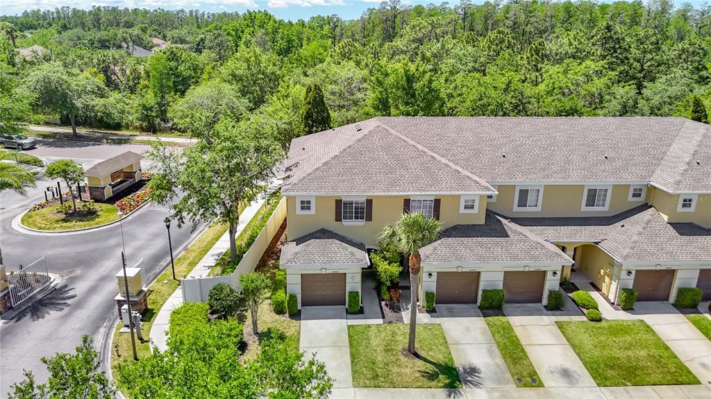 20402 Needletree Dr in Tampa, FL - Foto de edificio
