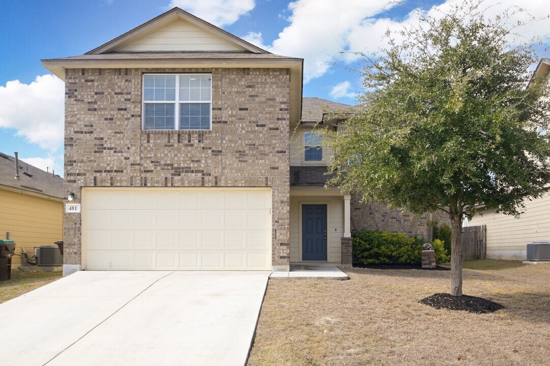 481 Eastern Phoebe in San Antonio, TX - Building Photo