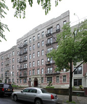 Nathan Hale Court in Brooklyn, NY - Building Photo