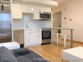 115 Mt Auburn St in Cambridge, MA - Building Photo