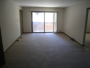 116 W Wood St, Unit 1E in Palatine, IL - Foto de edificio - Building Photo