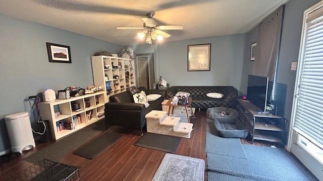 9920 Laurel Cherry Dr in McKinney, TX - Building Photo - Building Photo
