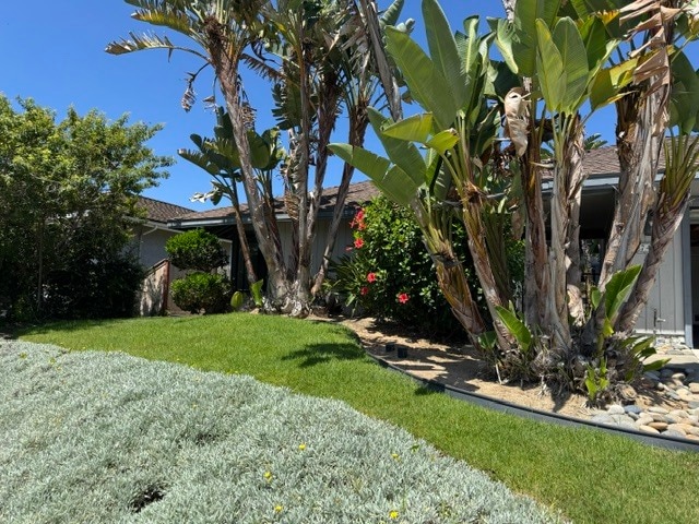 property at 7441 Trigo Ln