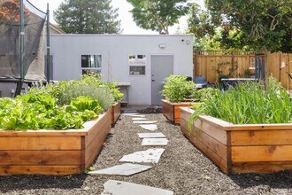 3148 College Ave in Berkeley, CA - Building Photo - Building Photo