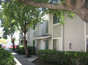 2101s in Fairfield, CA - Foto de edificio - Building Photo