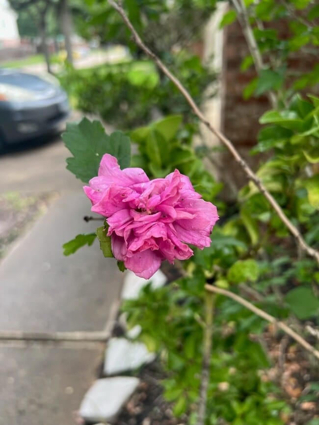 21839 Manitou Falls Ln