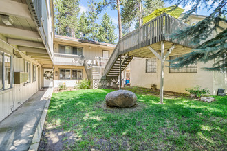 3775 Paradise Ave in South Lake Tahoe, CA - Building Photo - Building Photo