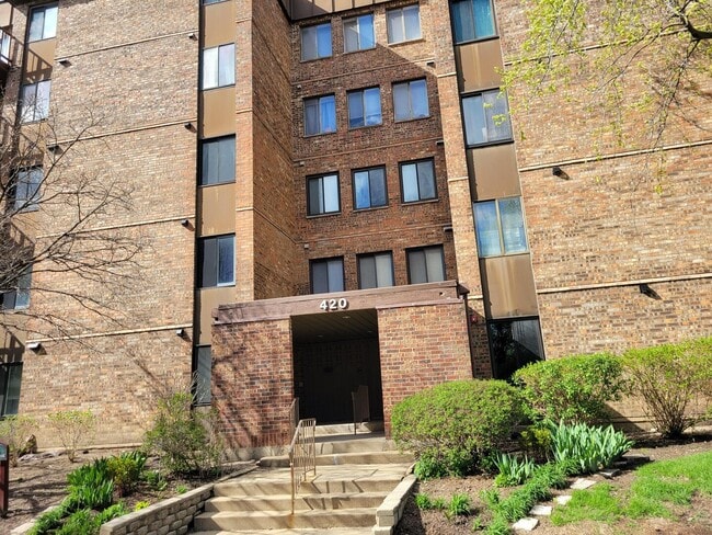 420 Walnut Creek Rd in Lisle, IL - Building Photo - Building Photo