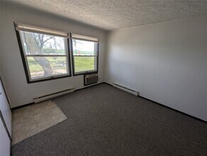 207 Stringtown Rd in Minier, IL - Building Photo - Building Photo