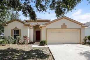 502 Magnolia Pointe Ct in Seffner, FL - Building Photo
