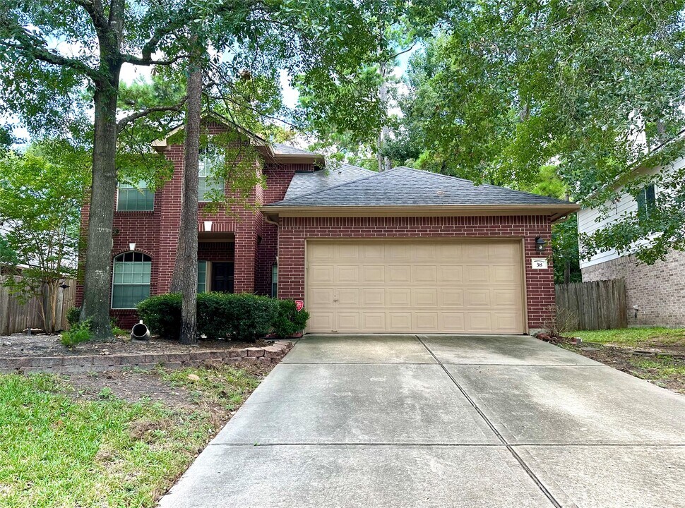 38 Windswept Oaks Pl in Conroe, TX - Building Photo