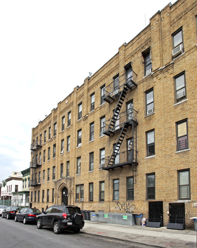 176 Linden St in Brooklyn, NY - Building Photo - Building Photo