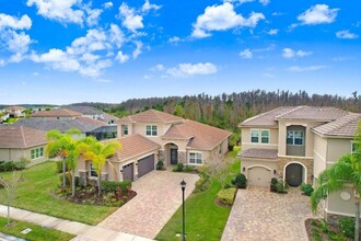 30758 Chesapeake Bay Dr in Wesley Chapel, FL - Building Photo - Building Photo