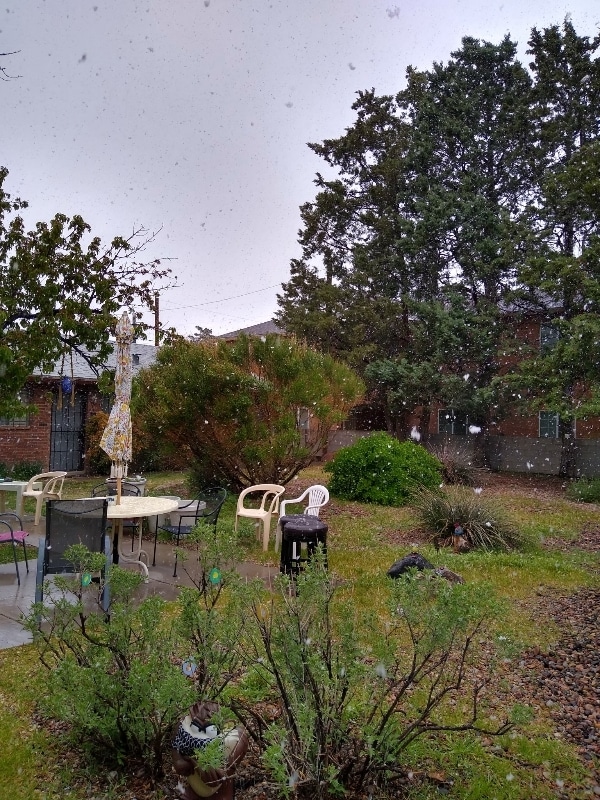 515 Valencia Dr SE in Albuquerque, NM - Building Photo - Building Photo