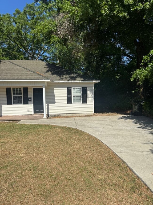 217 Broad St in Statesboro, GA - Building Photo - Building Photo