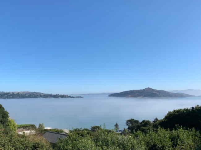 86 Marion Ave in Sausalito, CA - Building Photo - Building Photo
