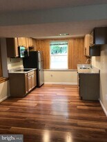 42861 Genuine Reward Ct in Ashburn, VA - Building Photo