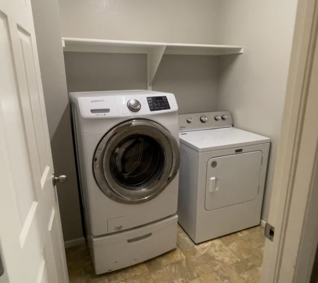 3634 Daylily St in Wellington, CO - Building Photo - Building Photo