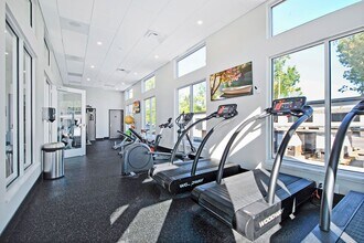 The Phoenix at Troy Crossing Apartments in Troy, MI - Building Photo - Building Photo