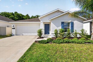 33670 Sky Blossom Cir in Leesburg, FL - Building Photo