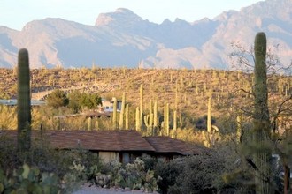 Las Lomas in Tucson, AZ - Building Photo - Building Photo