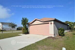 11202 Summer Star Dr in Riverview, FL - Building Photo