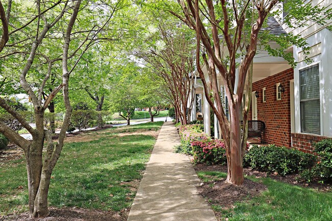 164 Old Fifth Cir in Charlottesville, VA - Building Photo - Building Photo