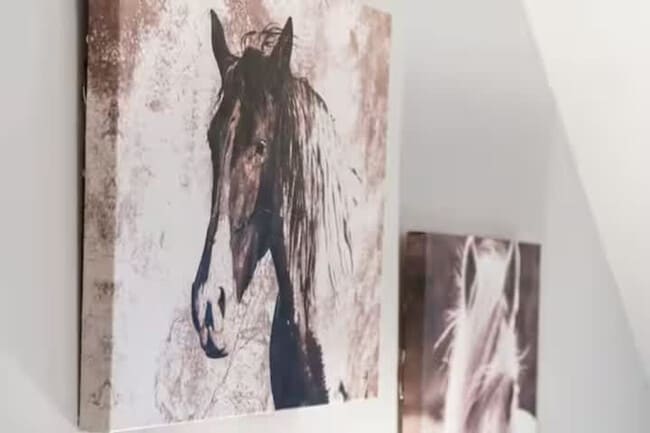 206 E St in Clarksville, TN - Foto de edificio - Building Photo