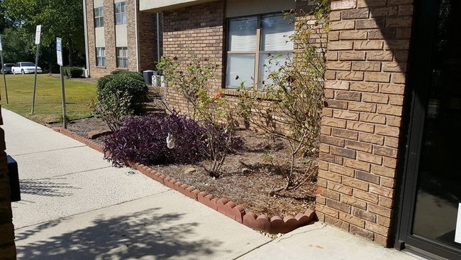 Park Manor Apartments in Cullman, AL - Foto de edificio - Building Photo