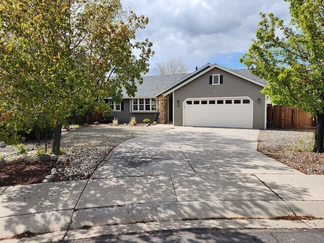 property at 1294 Saddlebronc Ct