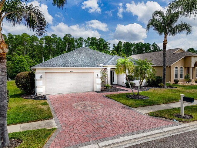 16113 Rambling Rd in Odessa, FL - Building Photo - Building Photo