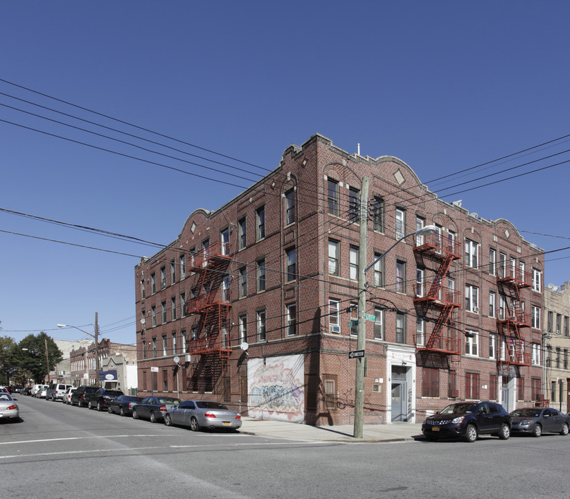 41 Lott Ave in Brooklyn, NY - Building Photo