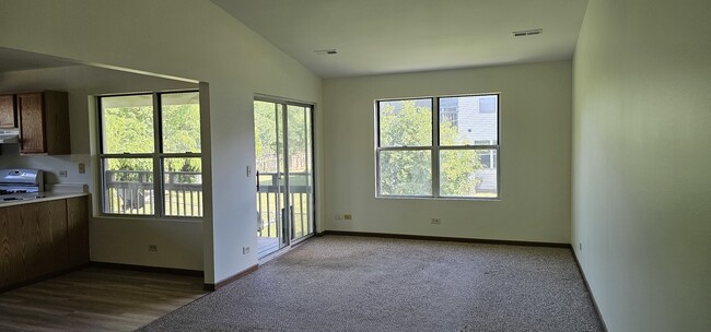 300 Village Creek Dr in Lake In The Hills, IL - Building Photo - Building Photo