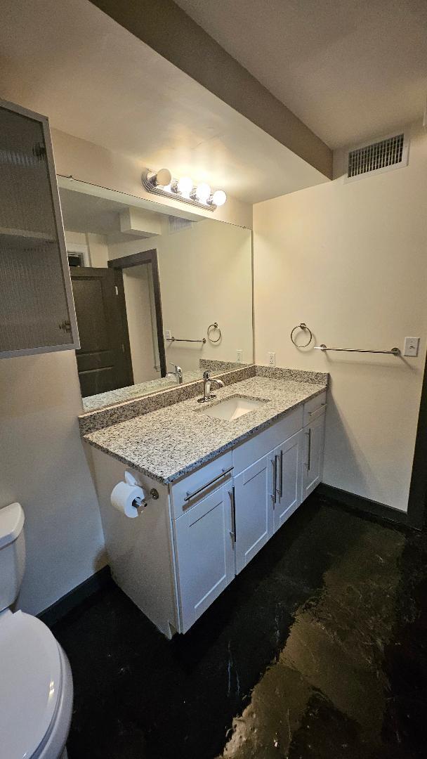 329 E Colorado Blvd, Unit 1002 in Dallas, TX - Foto de edificio - Building Photo
