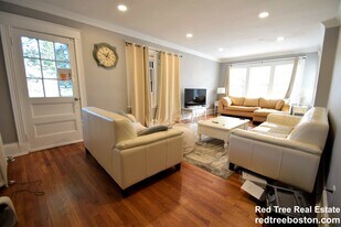 235 Chestnut Hill Ave in Boston, MA - Building Photo