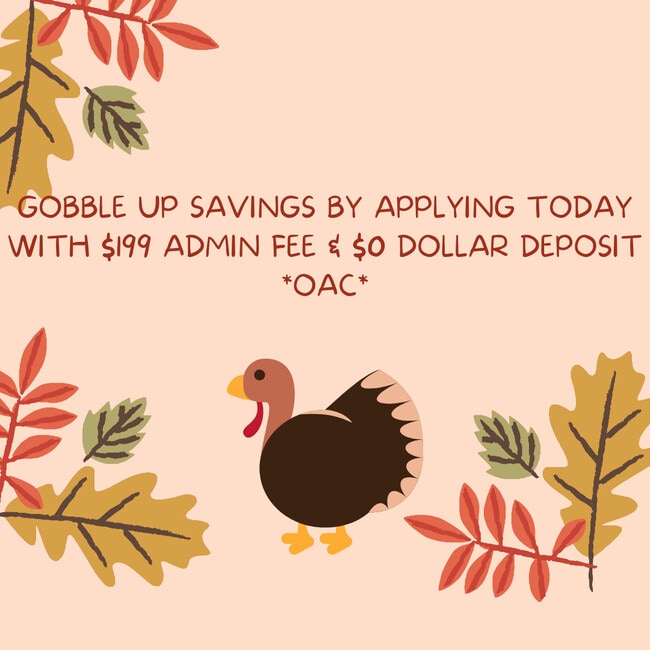 Springs of Country Woods