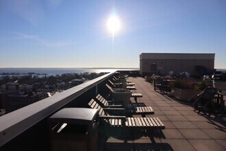 29 Lecount Pl in New Rochelle, NY - Building Photo - Building Photo