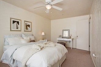 Wisteria Downs in Gainesville, FL - Building Photo - Interior Photo