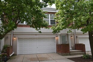 366 Town Pl Cir in Buffalo Grove, IL - Building Photo