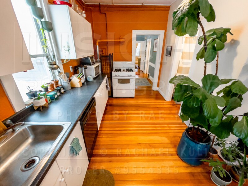 105 Carolina Ave in Boston, MA - Building Photo