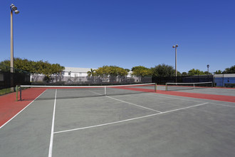 Waterside at Coquina Key in St. Petersburg, FL - Building Photo - Building Photo