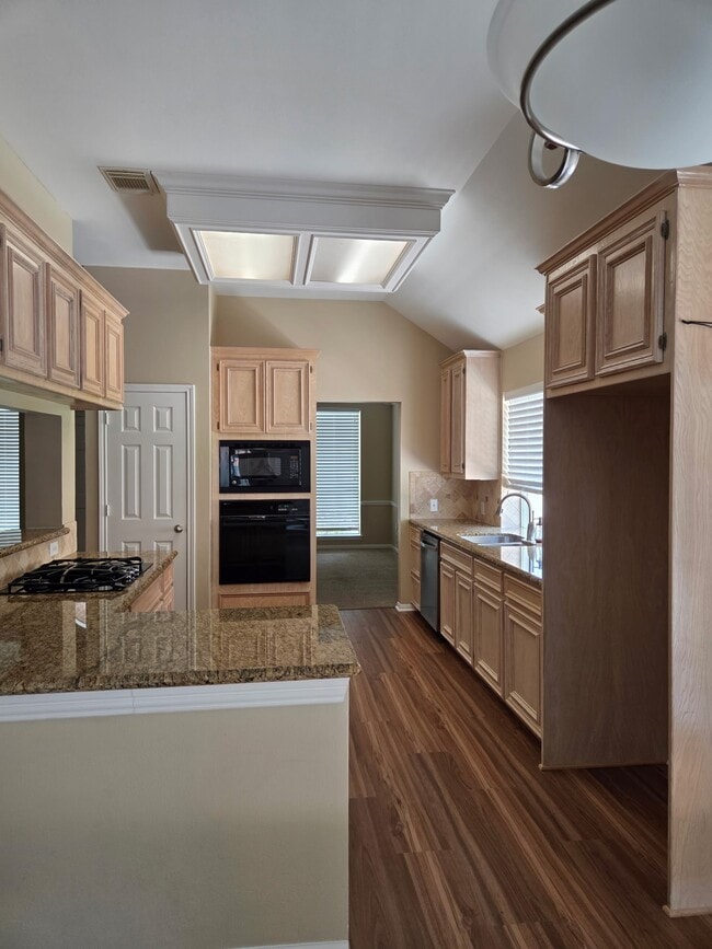 106 Palm Castle Ct in League City, TX - Building Photo - Building Photo