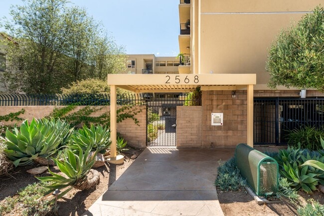 2568 Albatross St in San Diego, CA - Building Photo - Building Photo