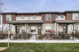 808 Schlagel St in Fort Collins, CO - Building Photo