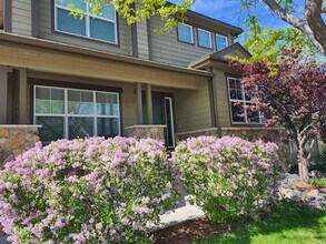 864 Tarpan Pl in Castle Rock, CO - Building Photo - Building Photo