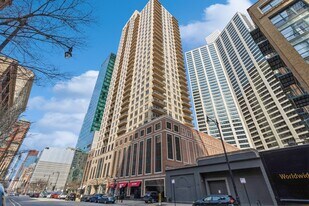 1111 S Wabash Ave in Chicago, IL - Building Photo