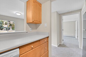 836 Sleepy Hollow Dr in Bailey, CO - Building Photo - Building Photo