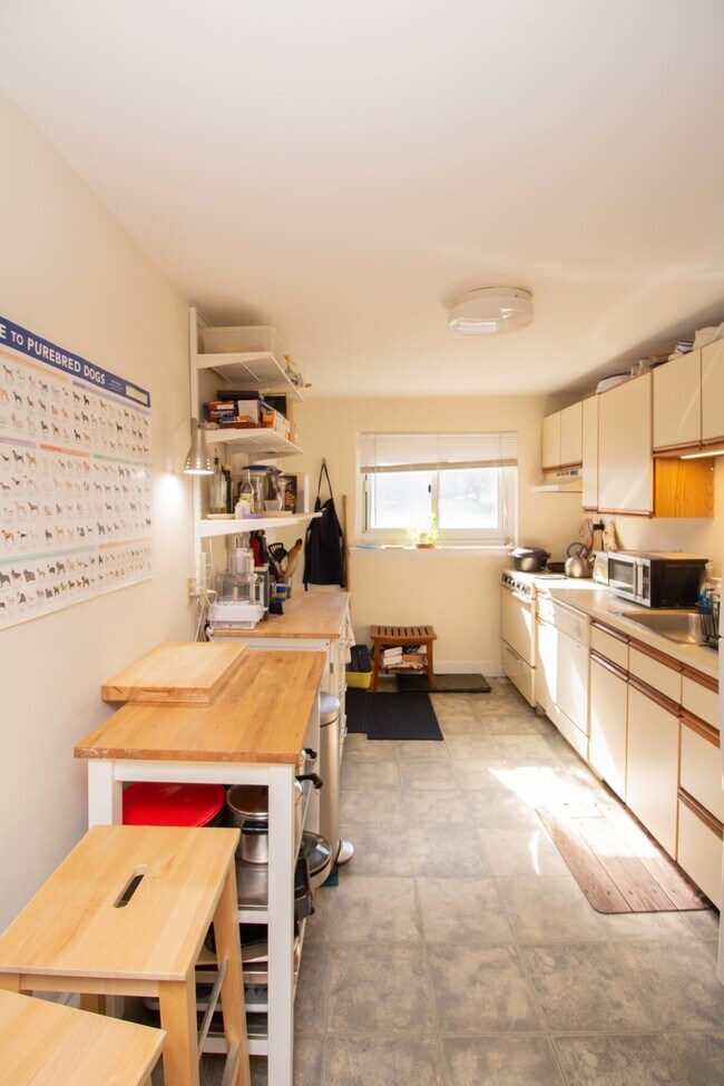 79 Chestnut St in Brookline, MA - Building Photo - Building Photo