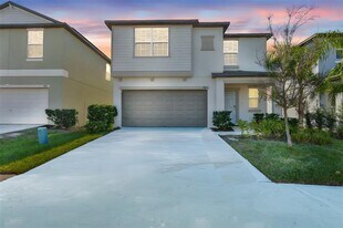 9913 Jackfruit Ct in Riverview, FL - Building Photo